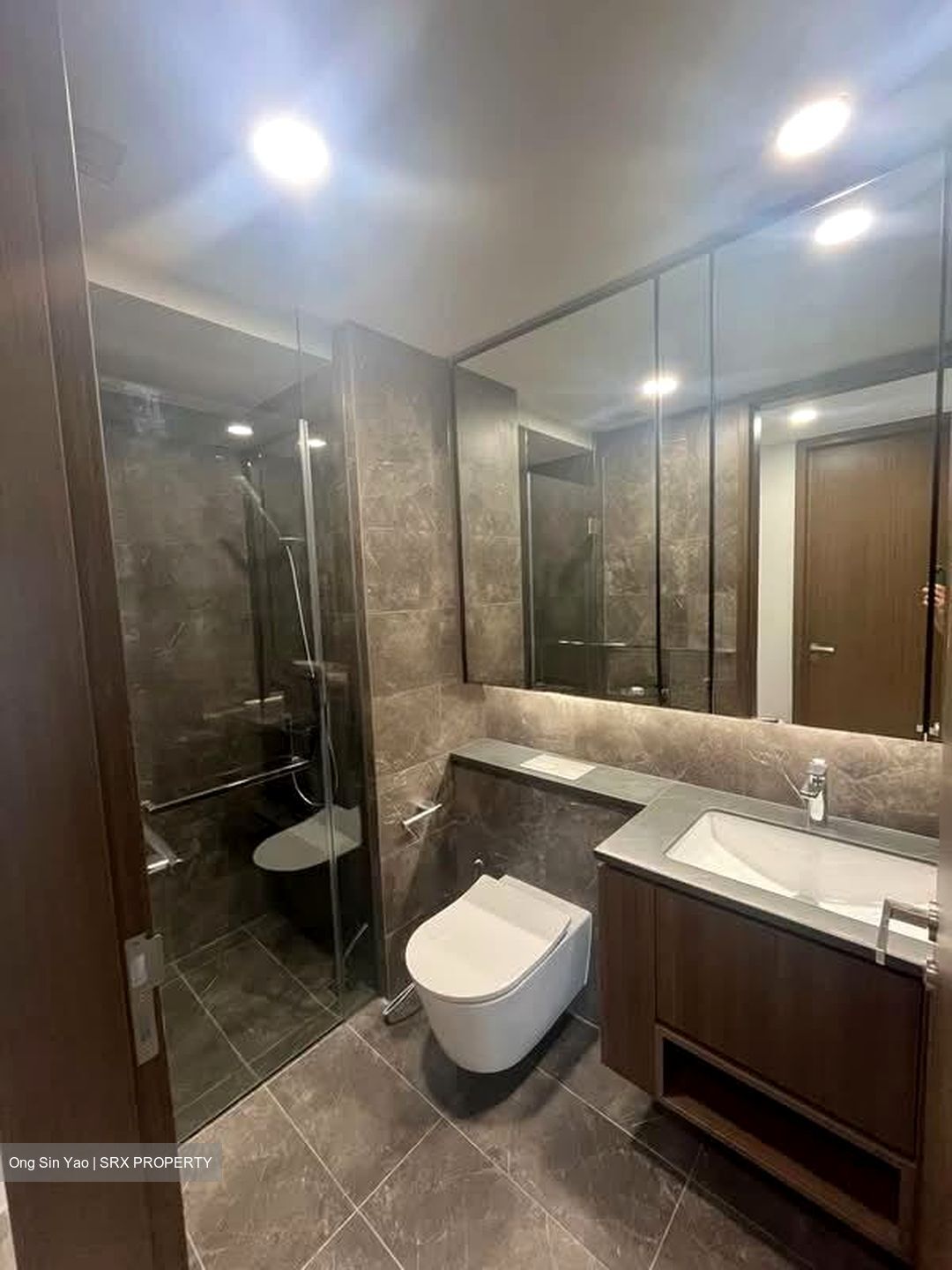 Kopar At Newton (D9), Apartment #556066071